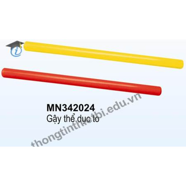 Gậy thể dục to